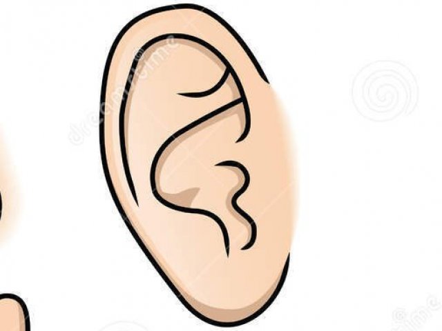 Audição